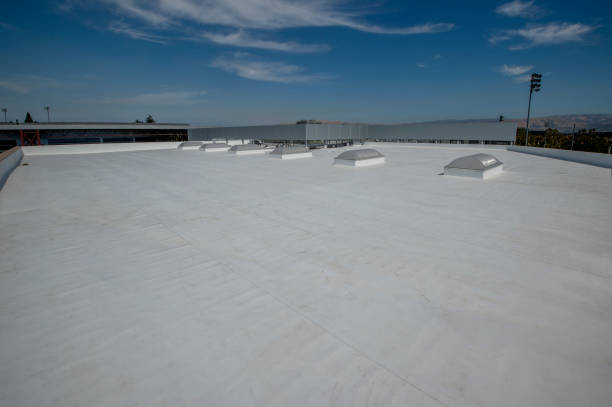 Best Asphalt Shingles Roofing  in Circle Pines, MN