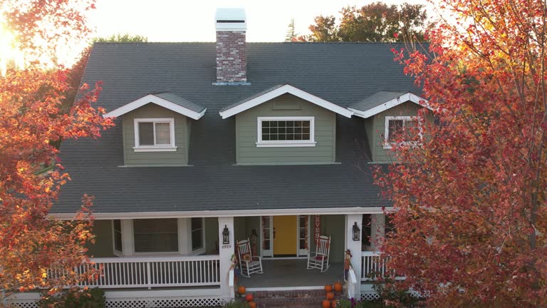 Best Roof Moss and Algae Removal  in Circle Pines, MN
