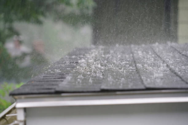 Best Cold Roofs  in Circle Pines, MN