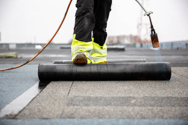 Best Roof Insulation Installation  in Circle Pines, MN