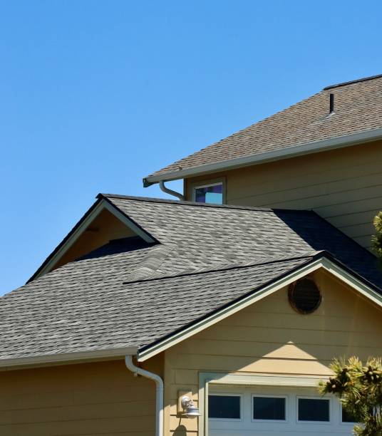 Best Roof Ventilation Installation  in Circle Pines, MN